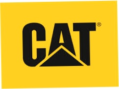 Cat Footwear