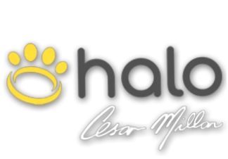 Halo Collar