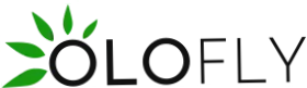 Olofly