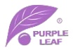 Purple Leaf