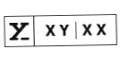 XYXX Crew